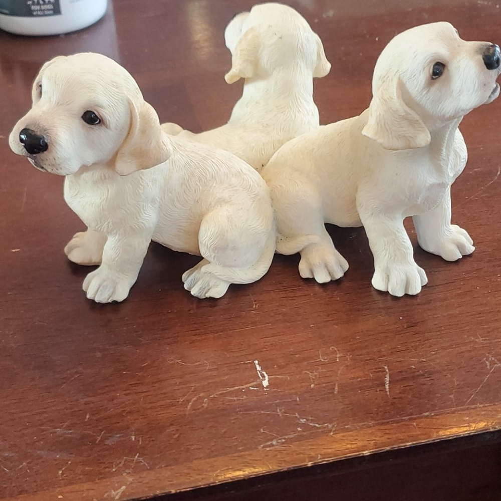 Big sky canine 3 yellow labradors - Picture 3 of 3